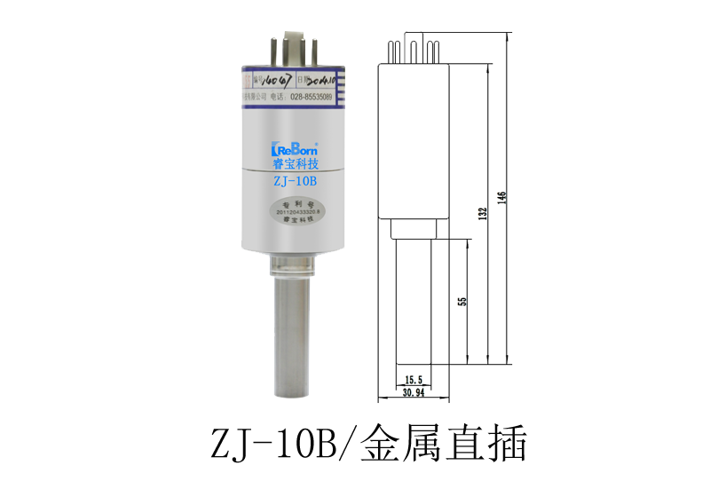 睿宝ZJ-10B金属直插热阴极电离规.png